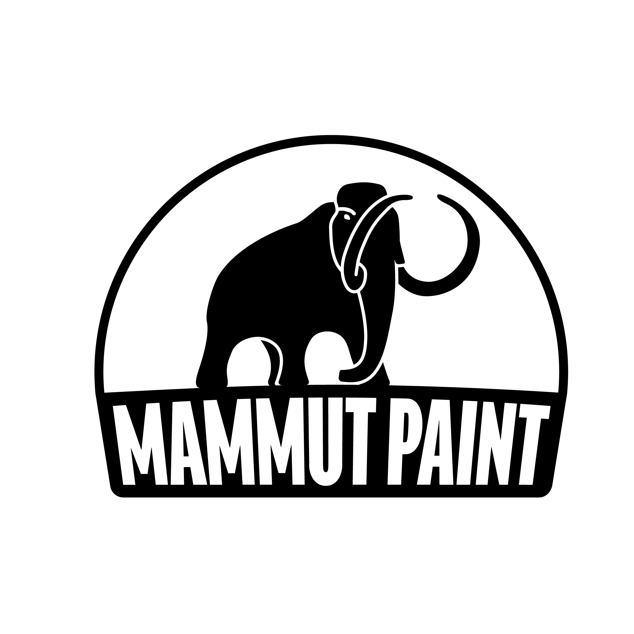 MAMMUT PAINT